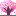春が来ましたね!