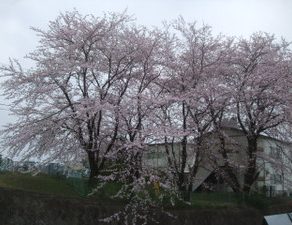 A180・入庫　A250・入庫　C200・入庫　E220・入庫　CLS350・入庫