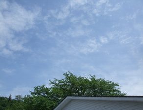 元気に営業！！！