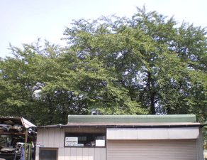 洗車場リニューアル・コーティングブース