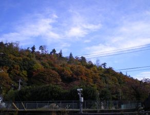 フィット・納車　グラチェロ・作業　