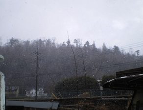 グラチェロ・サフ、塗装　デミオ・完成