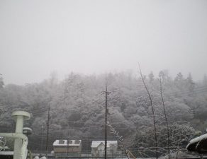 ベンツ・塗装 ベンツE63・ワイパーアームカバー スイフト・作業開始