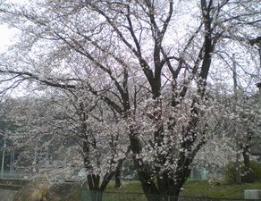 ラングラー・入庫　ハリアー・入庫　ボイジャー・完成　ラングラー・入庫