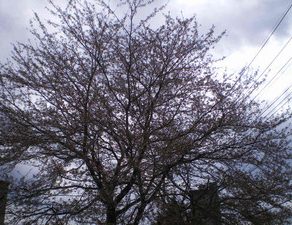 グラチェロ・完成　赤ラングラー・フロントバンパー、リヤクロスメンバー