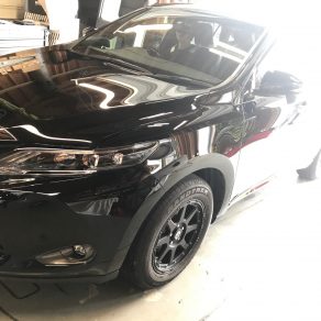 ハリアー＆アリスト!!