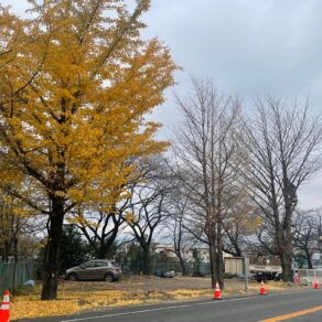 2021　明けましておめでとうございます！！