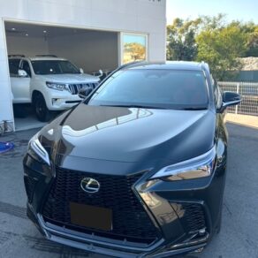 スノーウォッシュ洗車